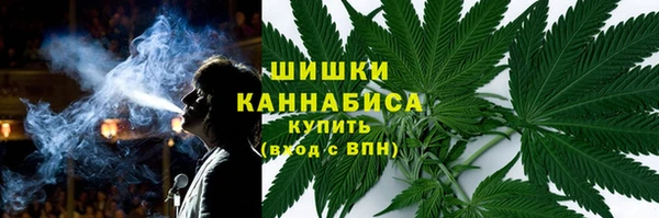 ГАЛЛЮЦИНОГЕННЫЕ ГРИБЫ Алексеевка