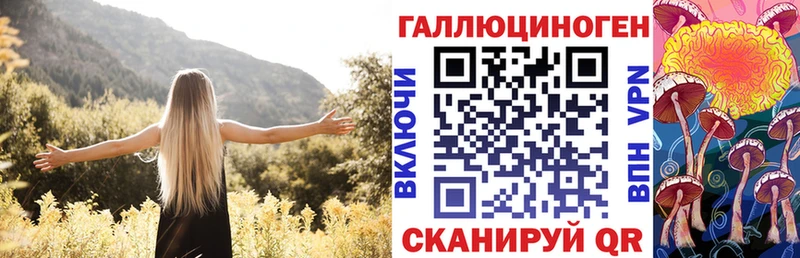 Галлюциногенные грибы Psilocybe  Сосенский 